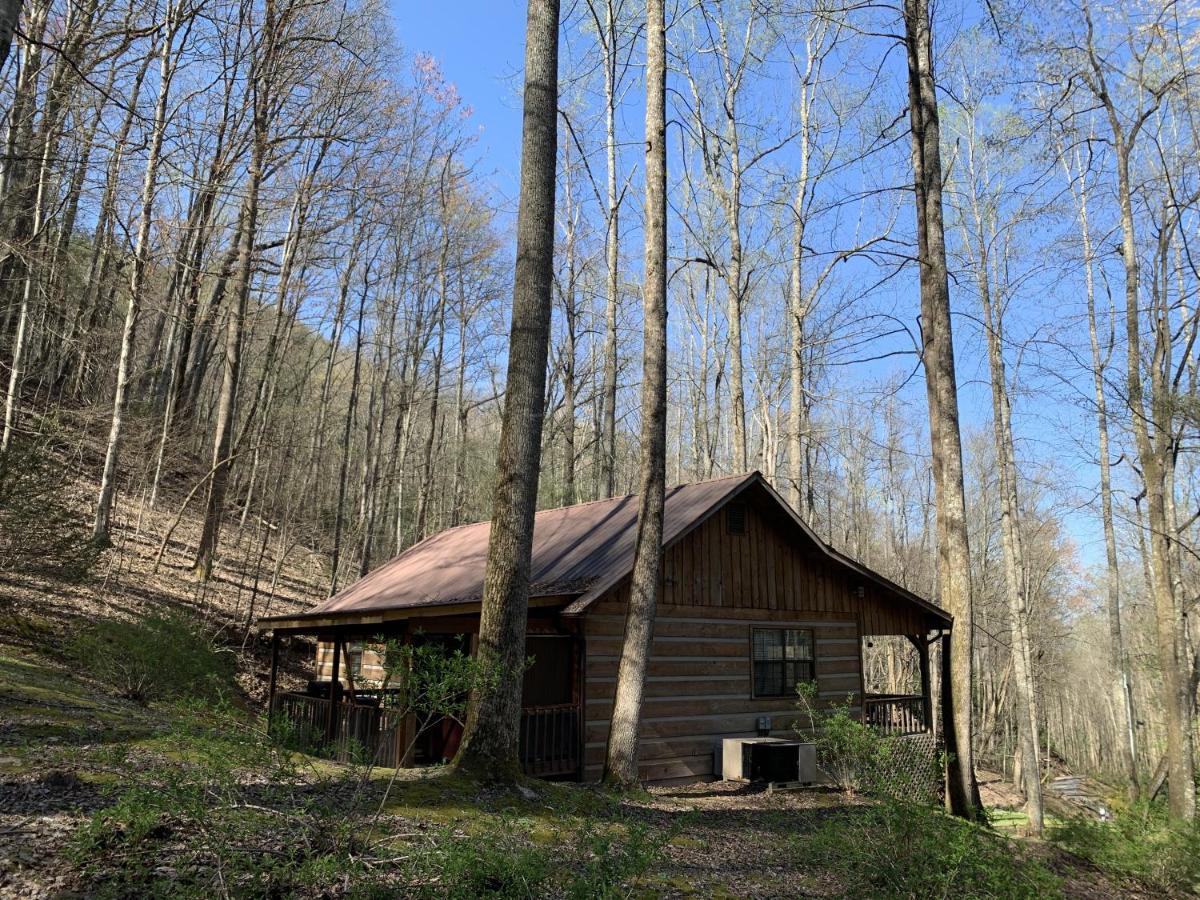 Little Mountain Hideaway Cabin Pigeon Forge Esterno foto